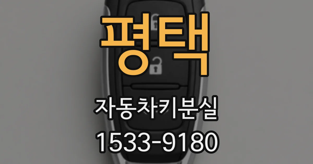평택 자동차키분실