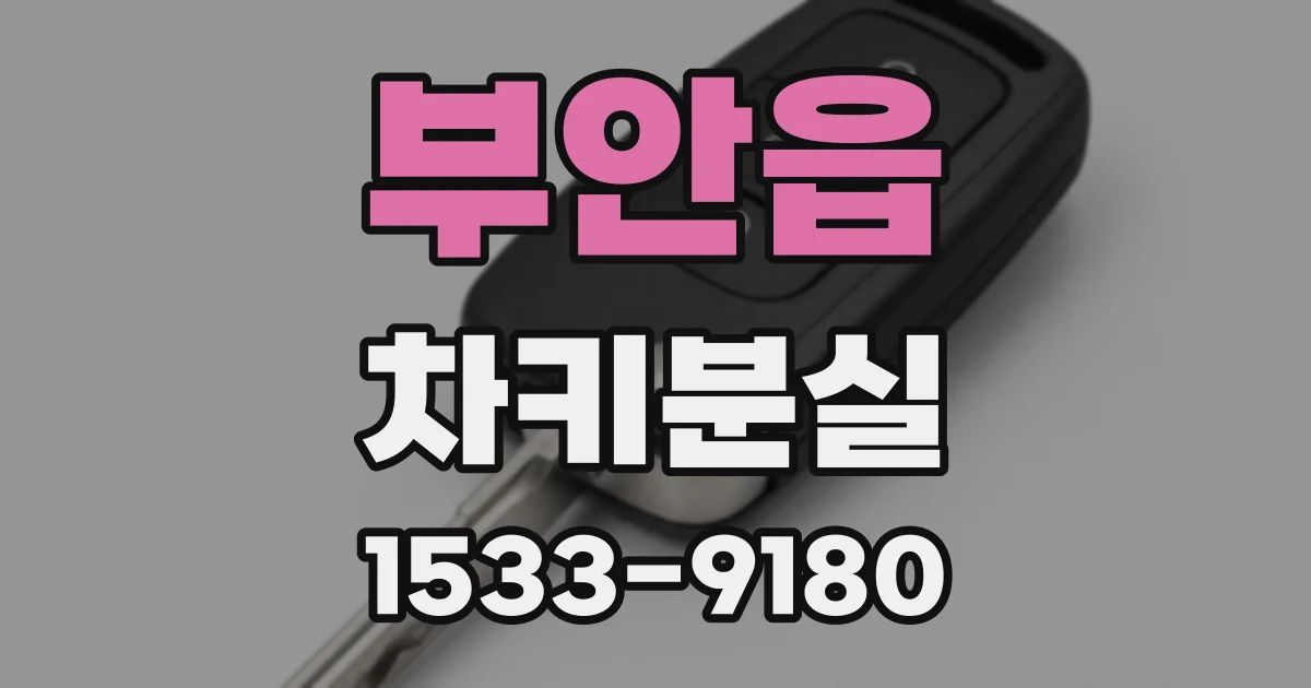 부안읍 차키분실