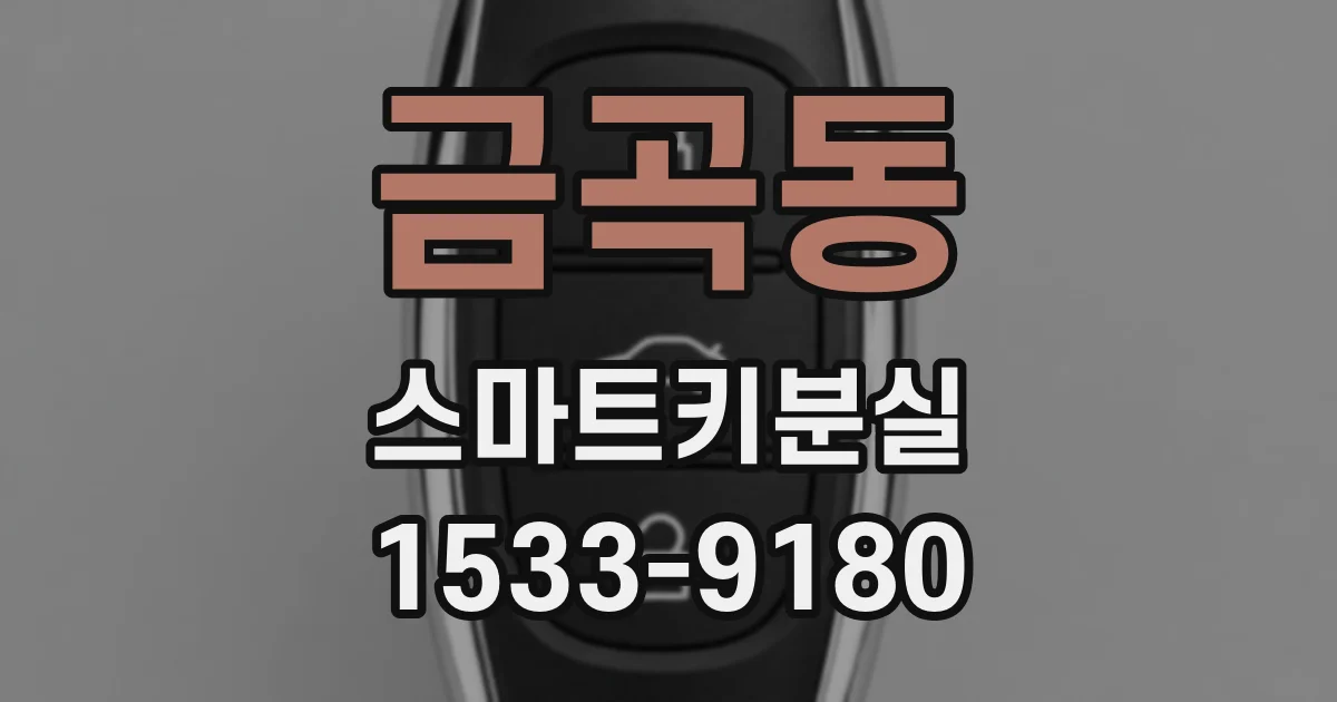 금곡동 스마트키분실