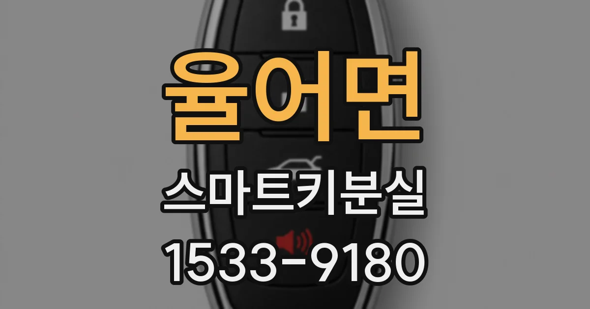 율어면 스마트키분실