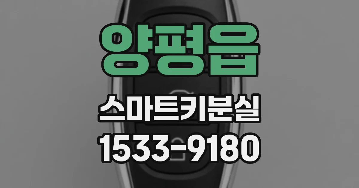 양평읍 스마트키분실