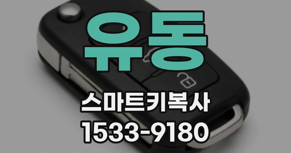 유동 스마트키복사