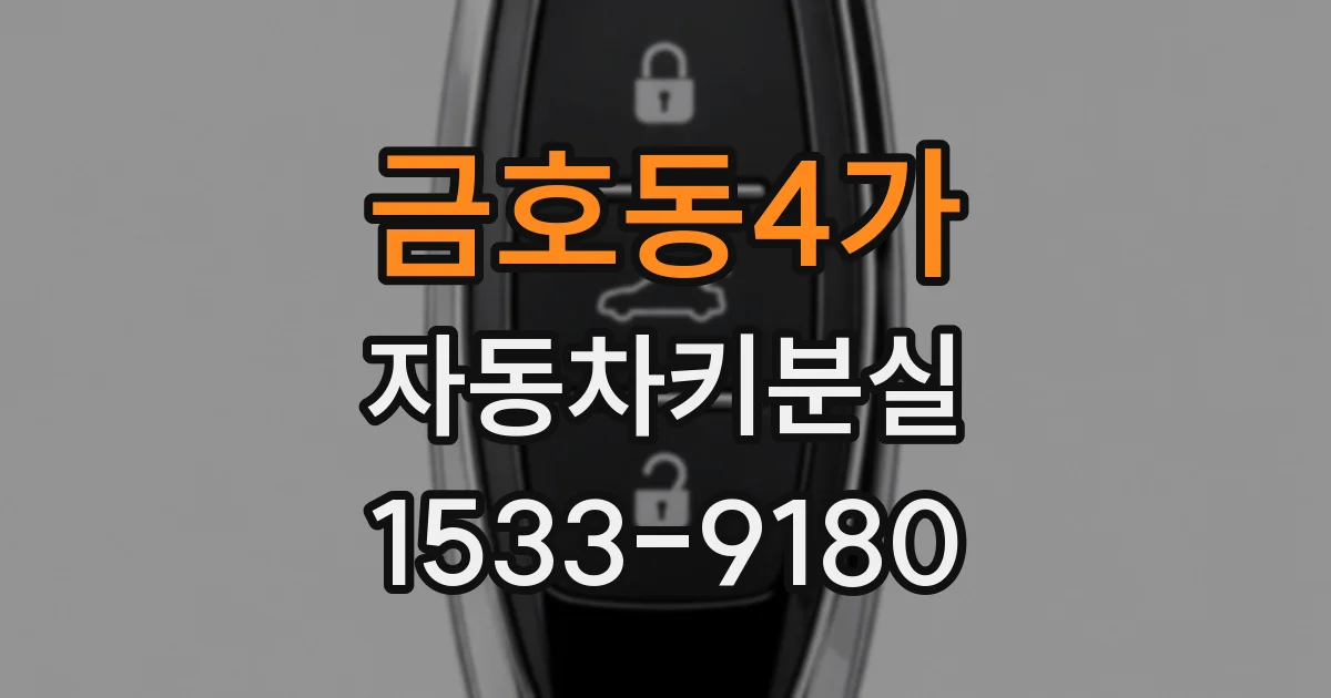 금호동4가 자동차키분실
