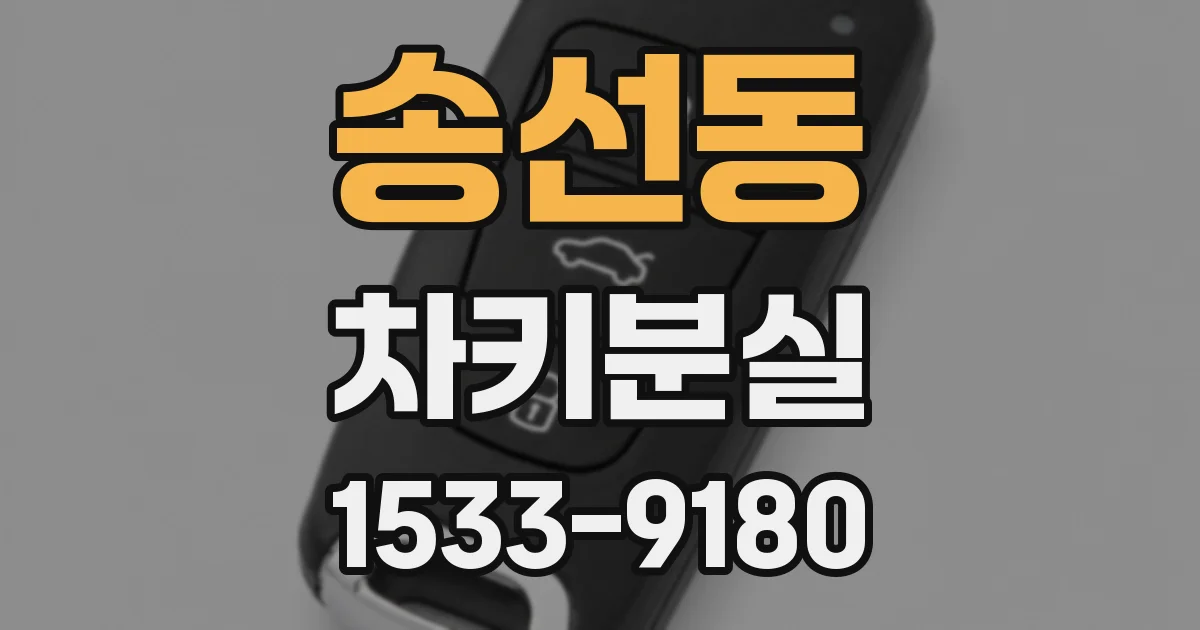 송선동 차키분실