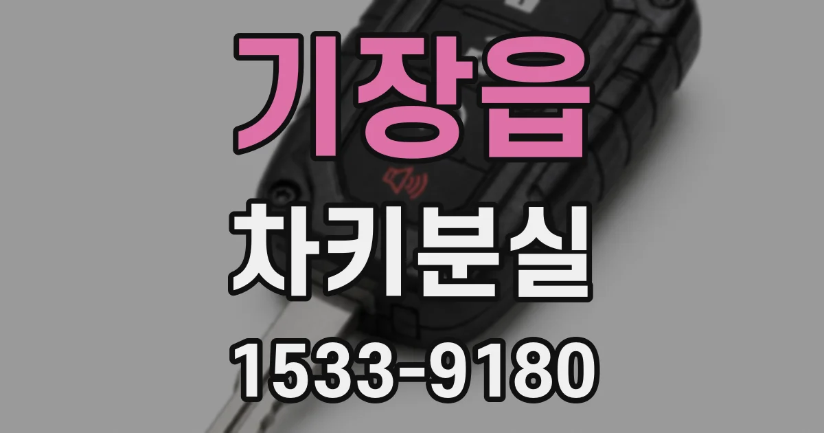 기장읍 차키분실