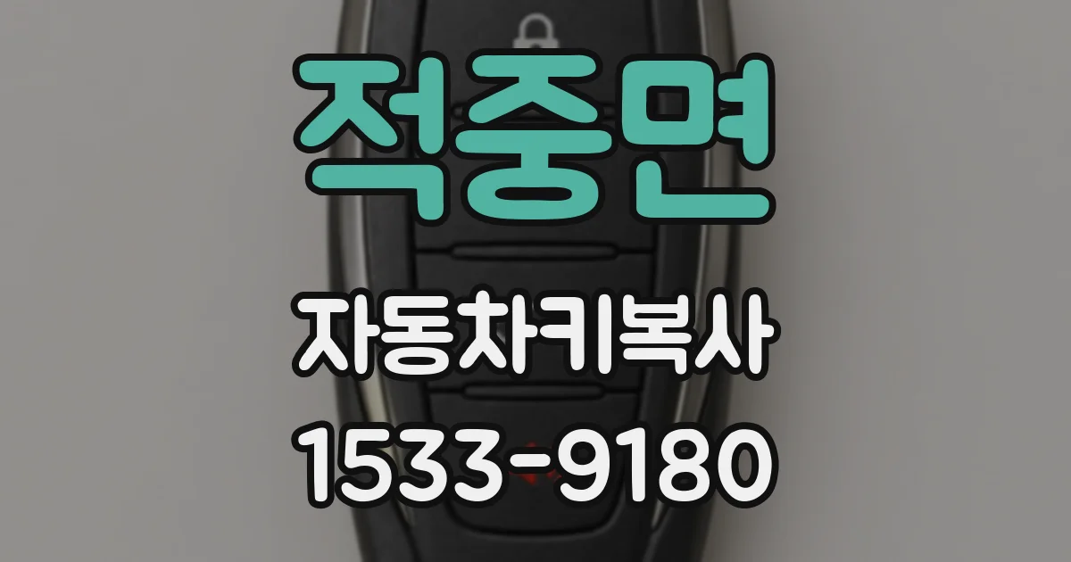 적중면 자동차키복사