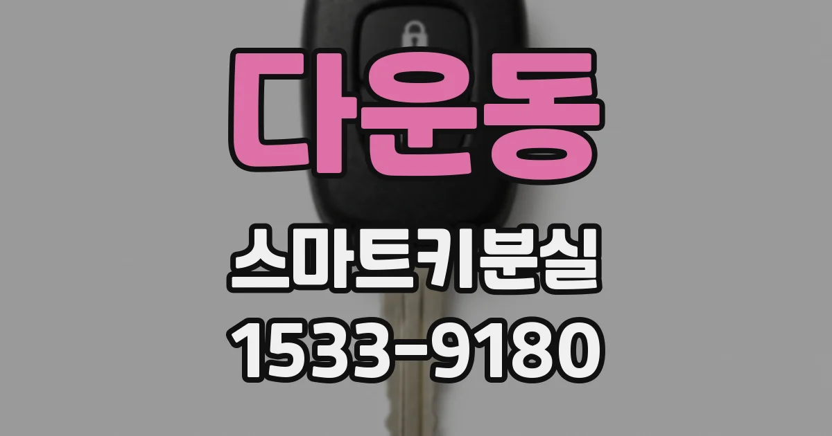 다운동 스마트키분실
