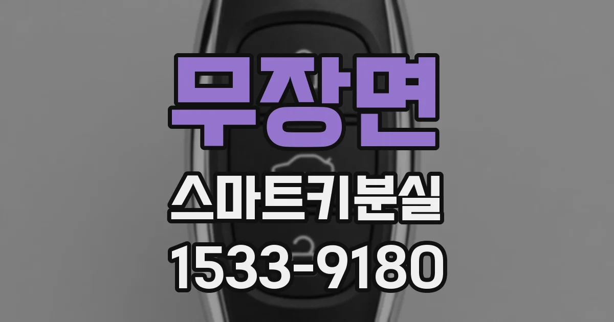무장면 스마트키분실