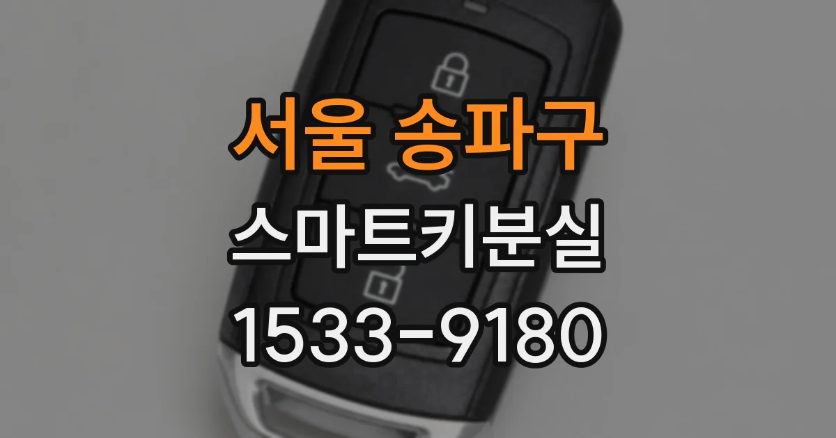 서울 송파구 스마트키분실