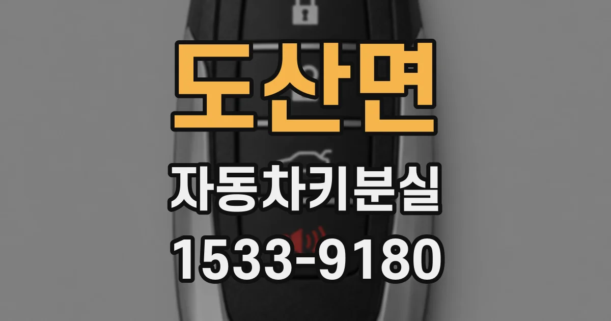 도산면 자동차키분실