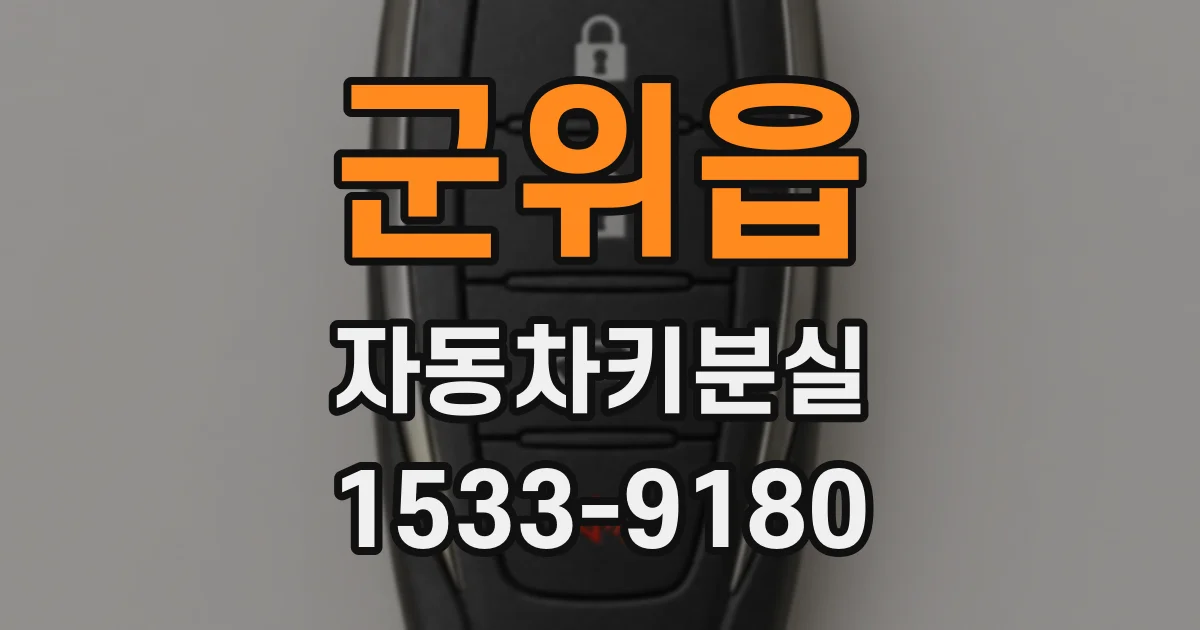 군위읍 자동차키분실
