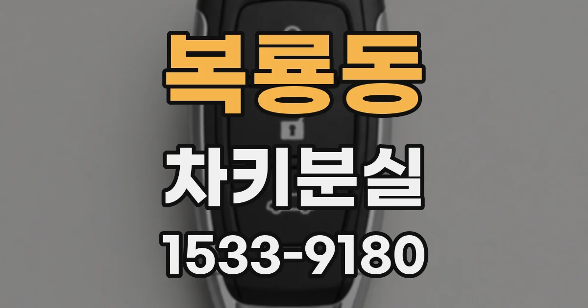복룡동 차키분실