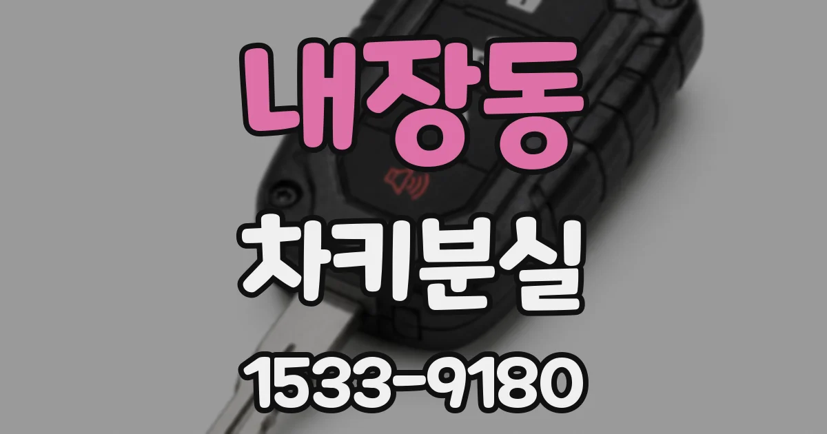 내장동 차키분실