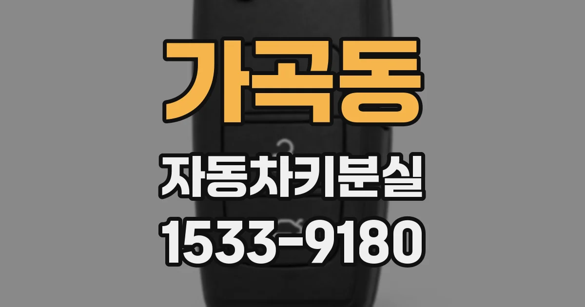 가곡동 자동차키분실
