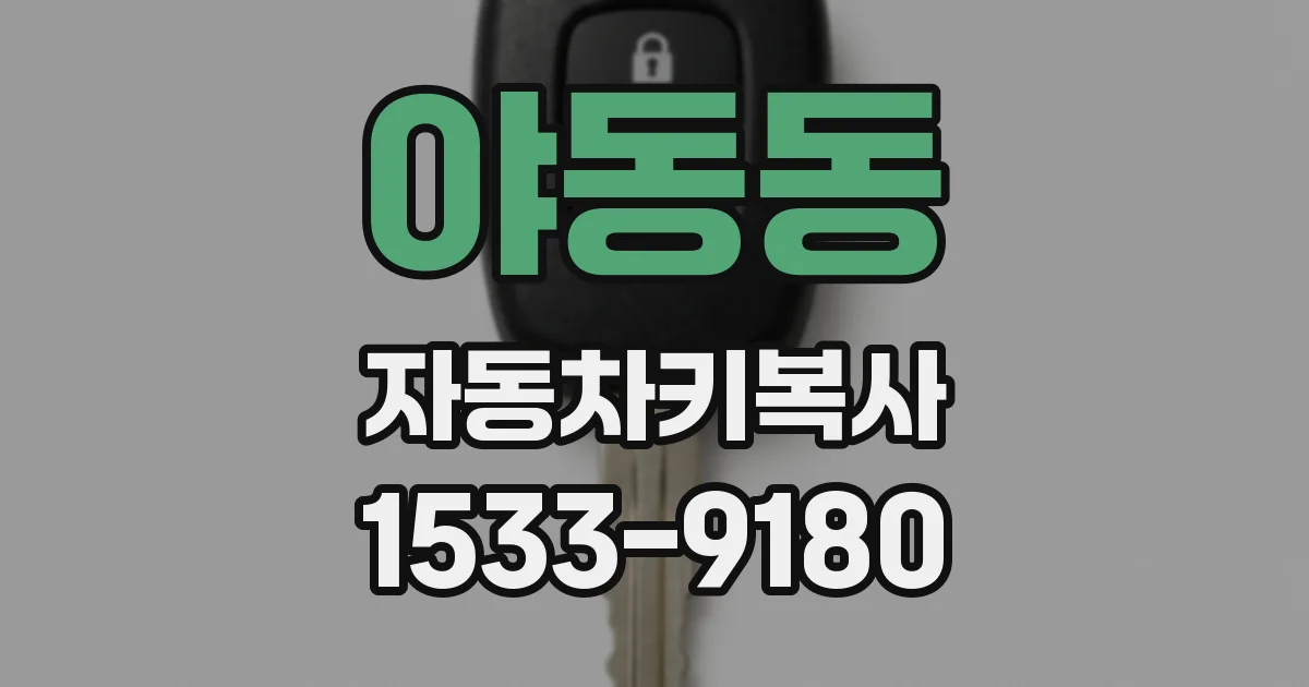 야동동 자동차키복사