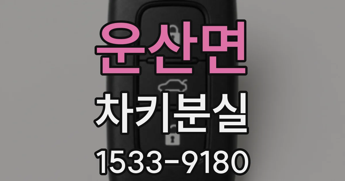 운산면 차키분실