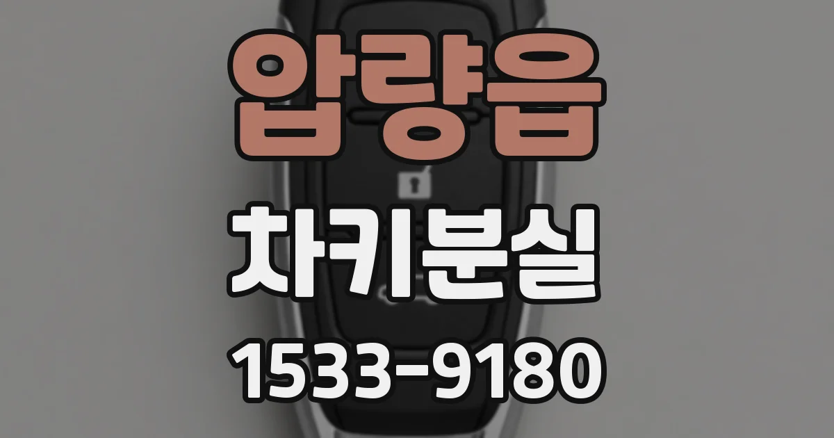 압량읍 차키분실