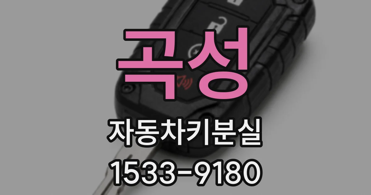 곡성 자동차키분실