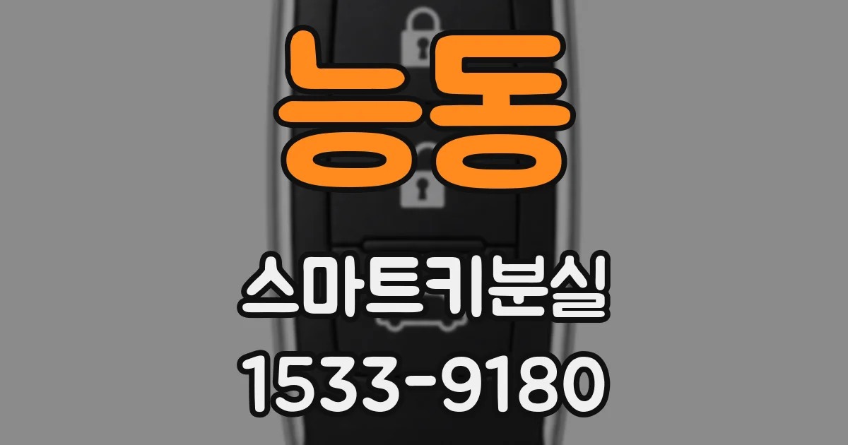 능동 스마트키분실