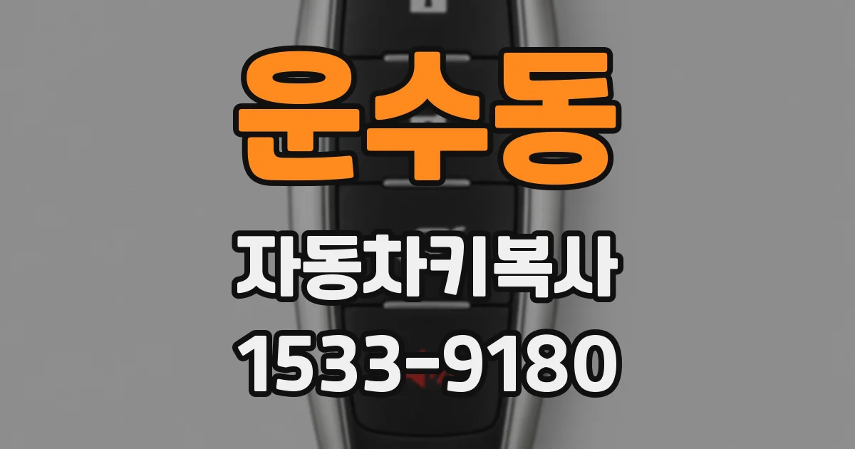 운수동 자동차키복사