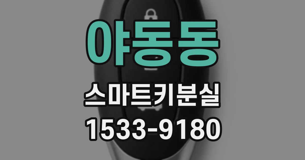 야동동 스마트키분실