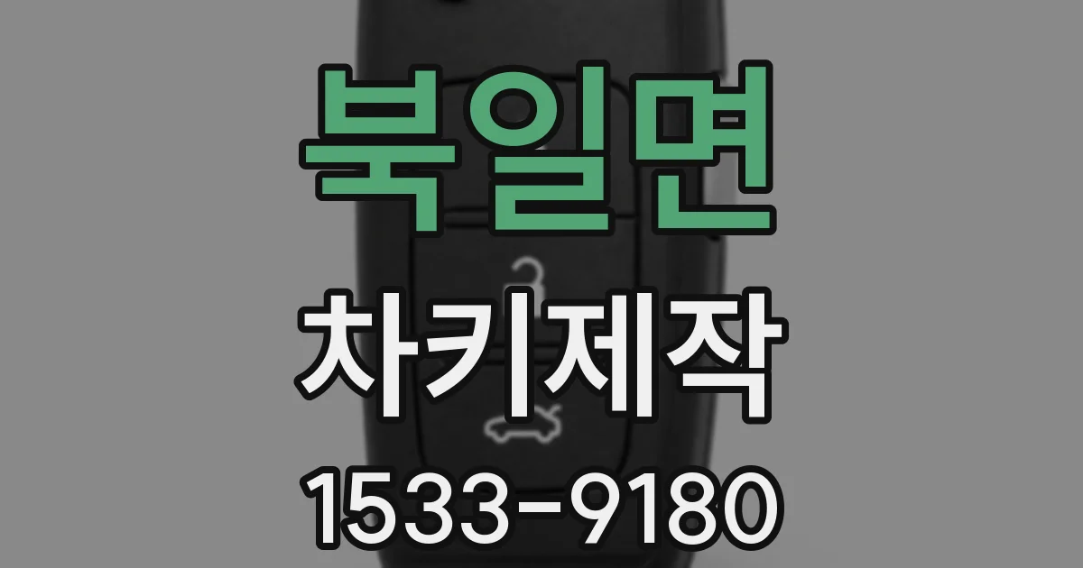 북일면 차키제작