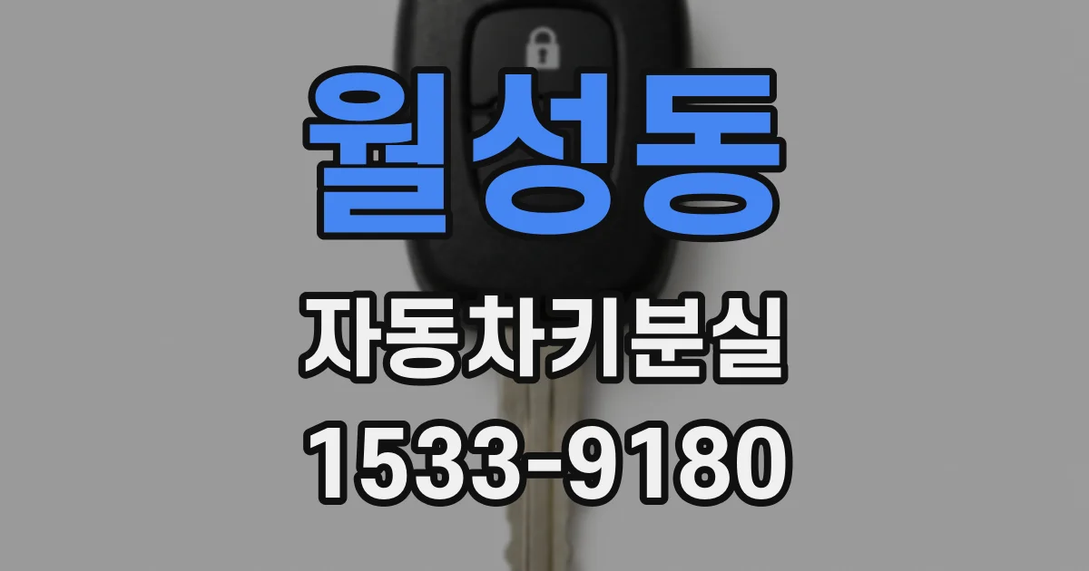 월성동 자동차키분실