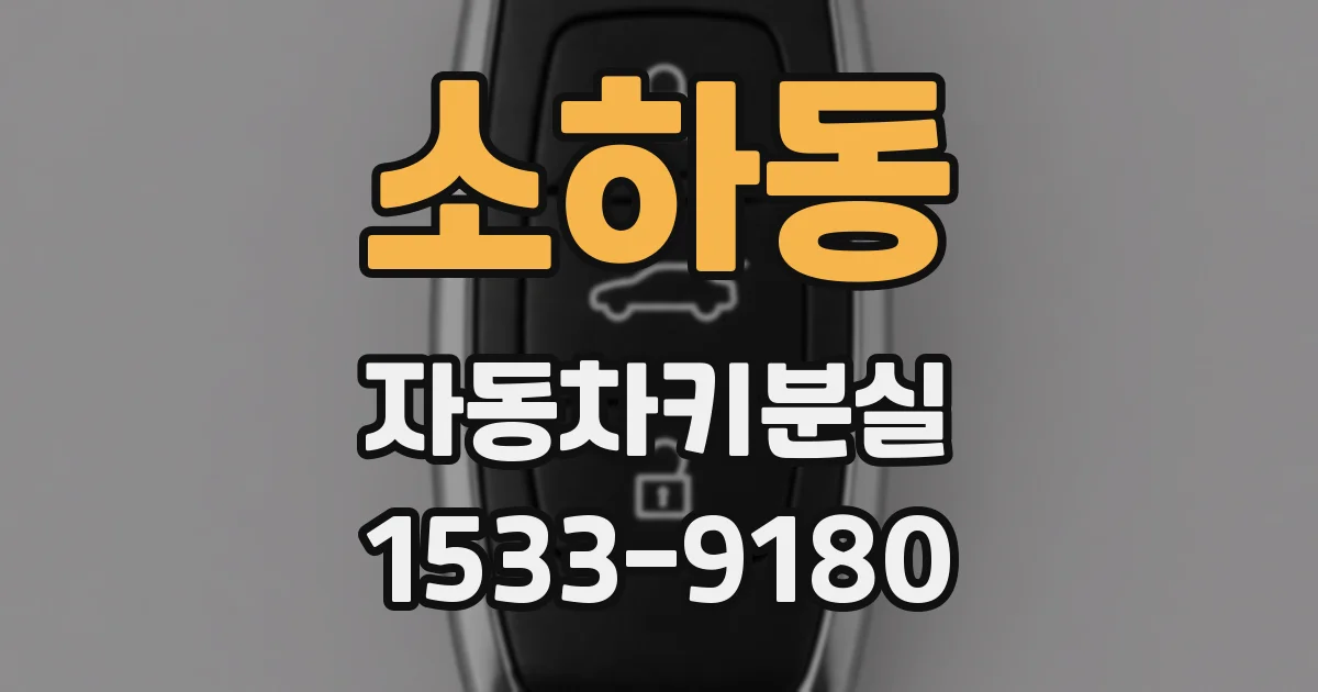 소하동 자동차키분실