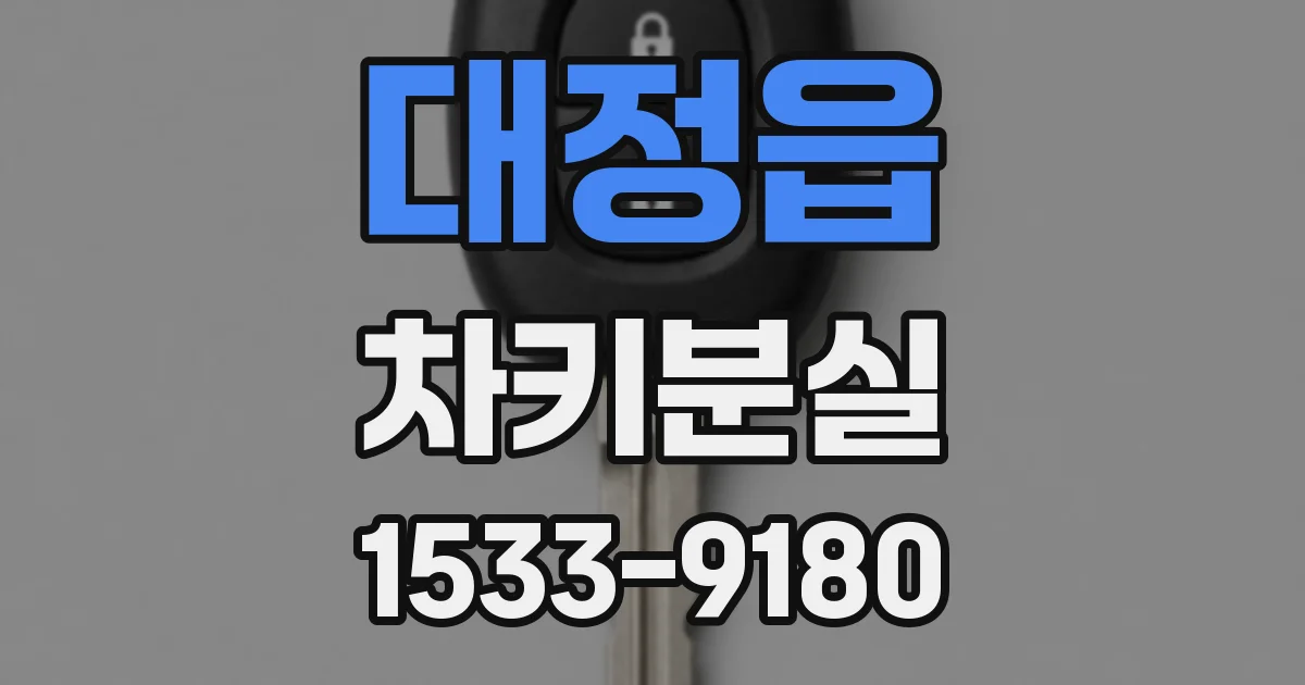 대정읍 차키분실