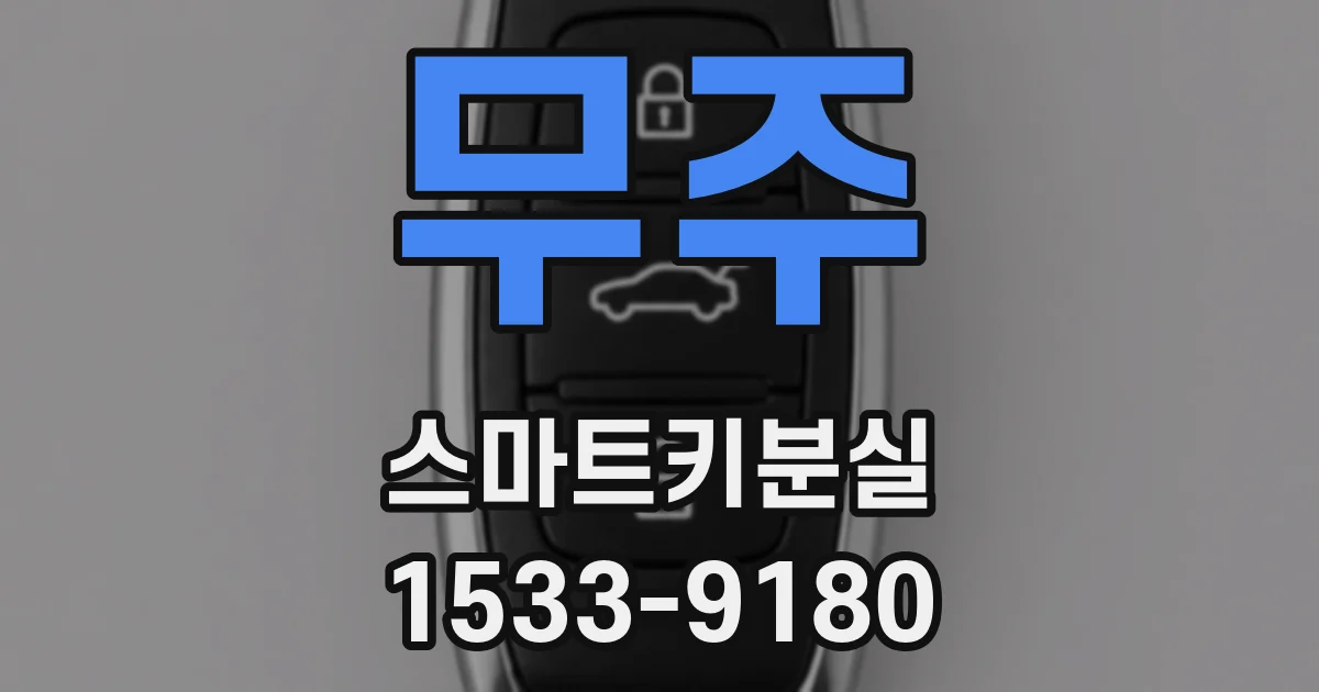 무주 스마트키분실