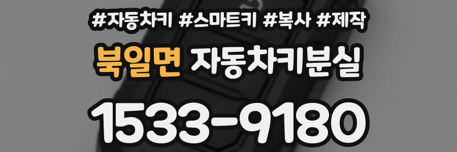 북일면 자동차키분실