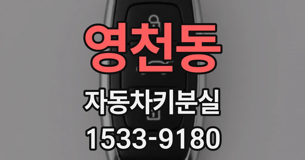 영천동 자동차키분실