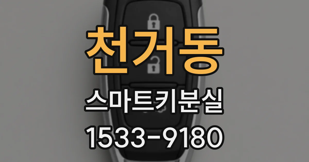 천거동 스마트키분실