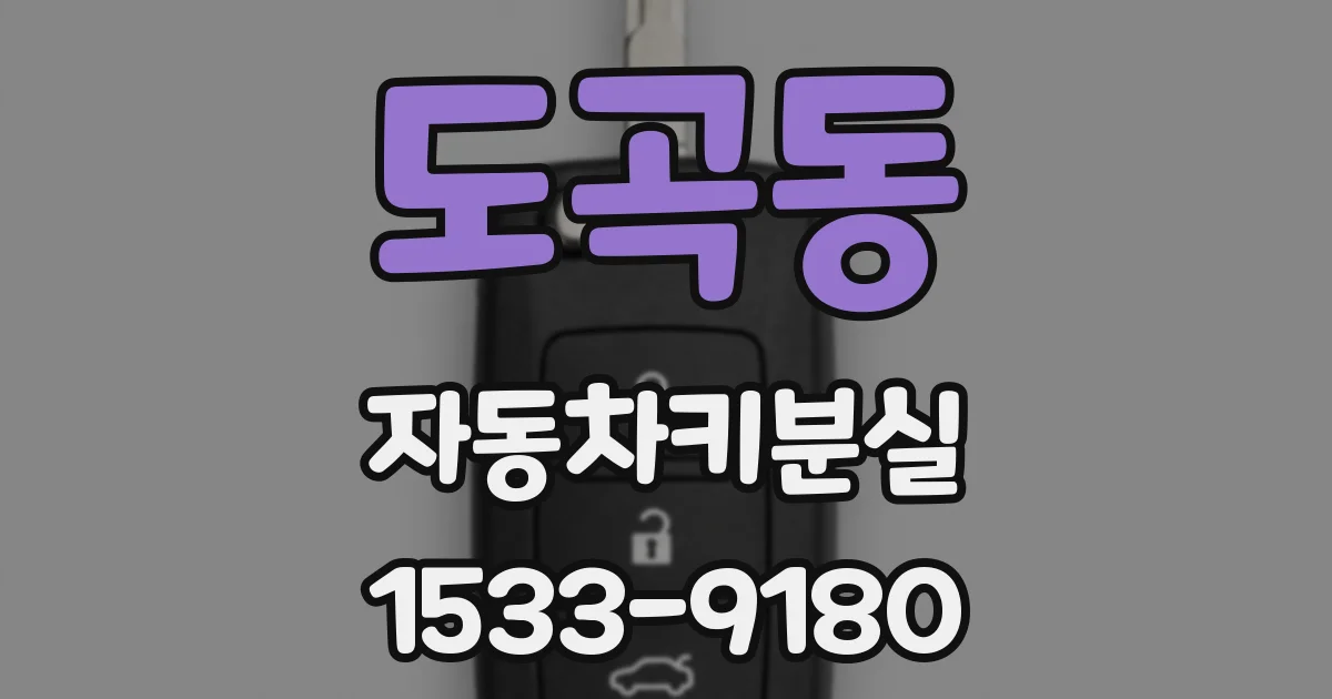 도곡동 자동차키분실