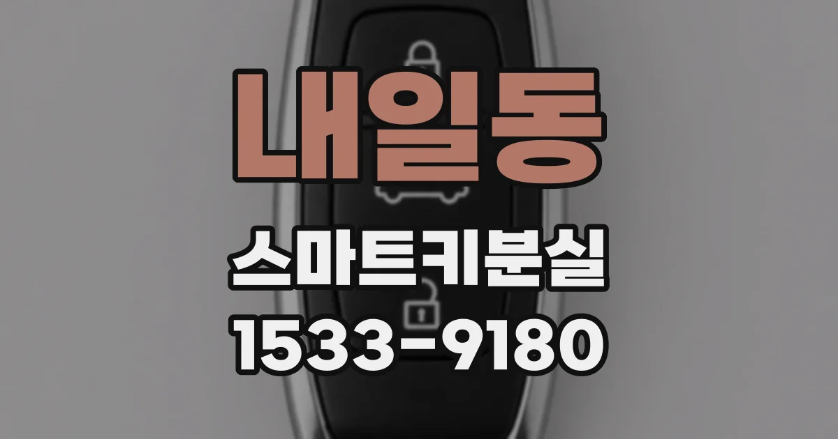 내일동 스마트키분실