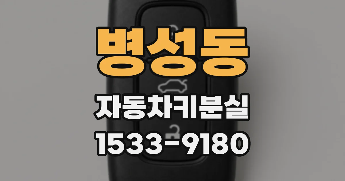 병성동 자동차키분실