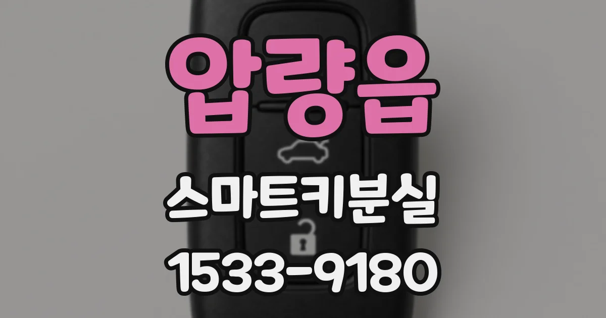 압량읍 스마트키분실