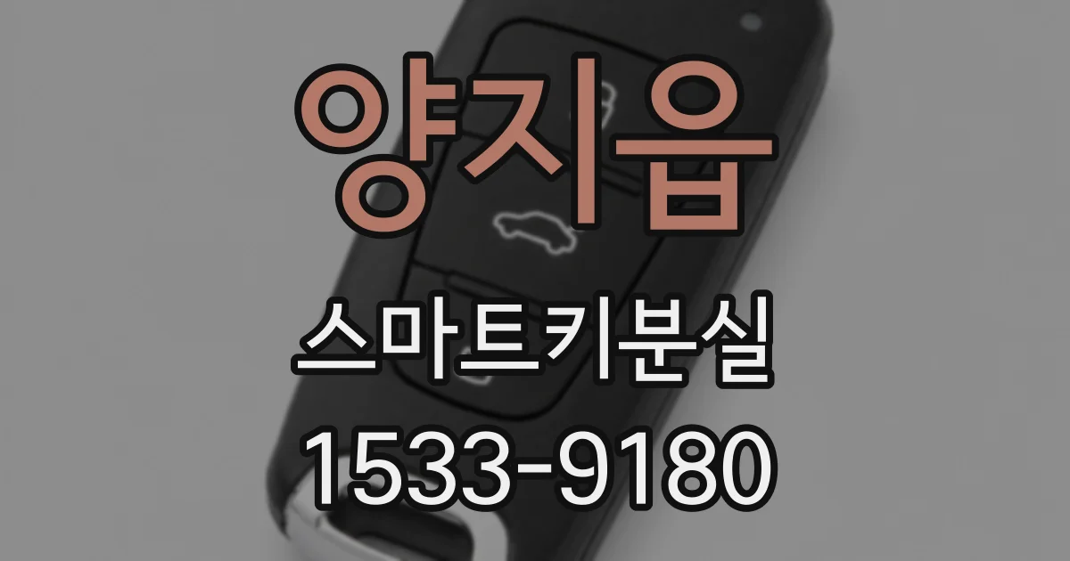 양지읍 스마트키분실