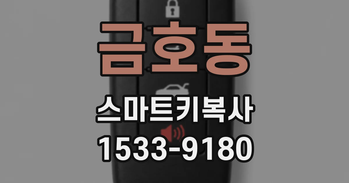 금호동 스마트키복사
