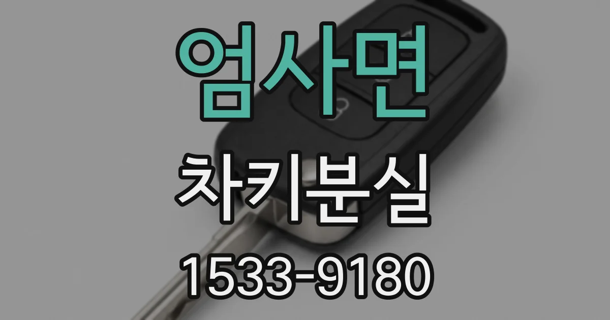 엄사면 차키분실