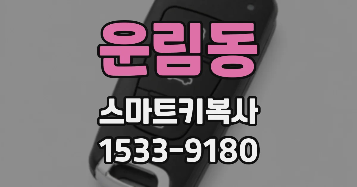 운림동 스마트키복사