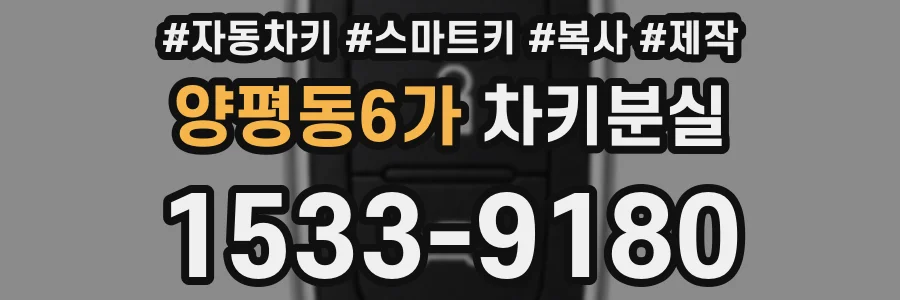양평동6가 차키분실