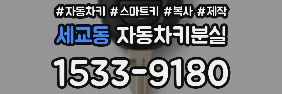 세교동 자동차키분실
