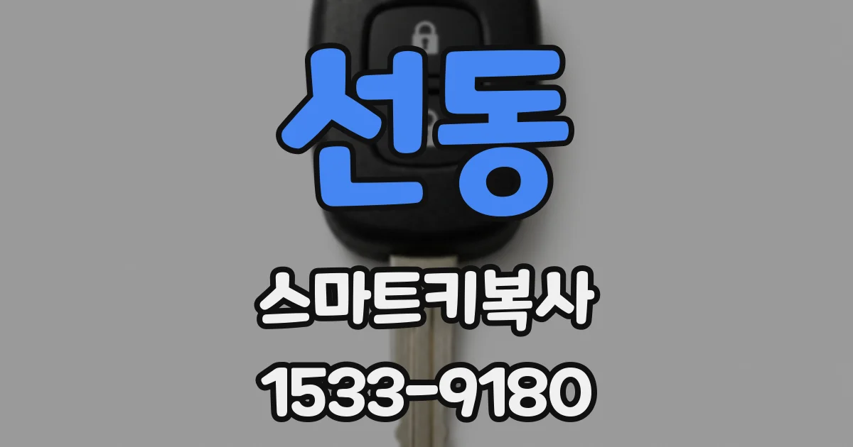 선동 스마트키복사