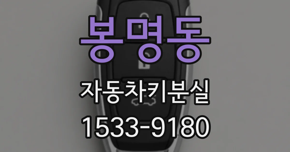 봉명동 자동차키분실