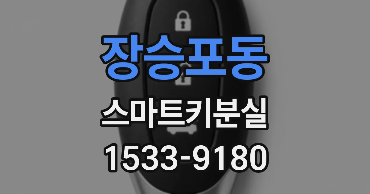 장승포동 스마트키분실