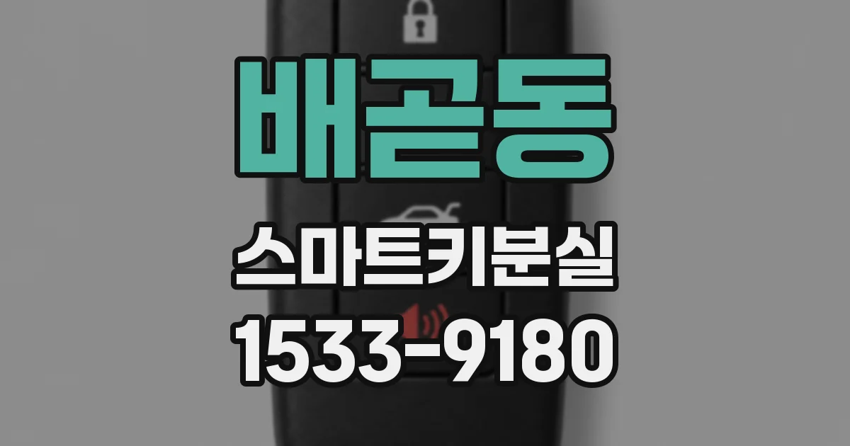 배곧동 스마트키분실