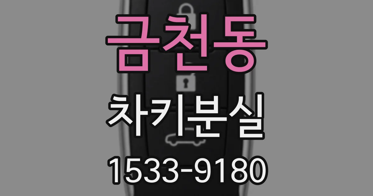 금천동 차키분실