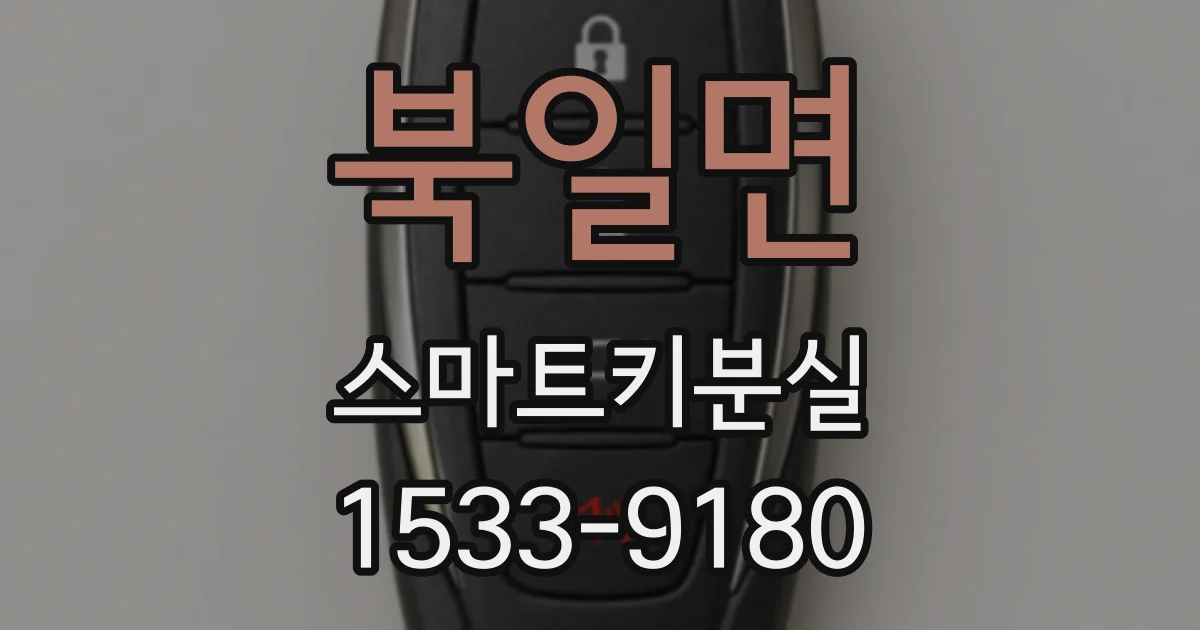 북일면 스마트키분실