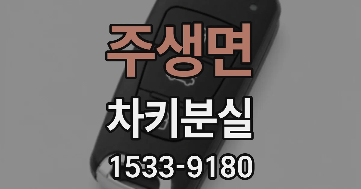 주생면 차키분실
